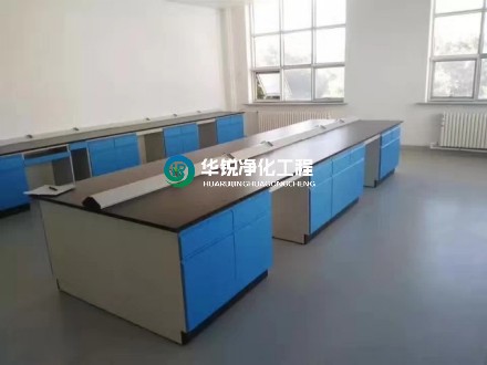 微生物實(shí)驗(yàn)室核心實(shí)驗(yàn)區(qū)（污染區(qū)）的內(nèi)部子分區(qū)